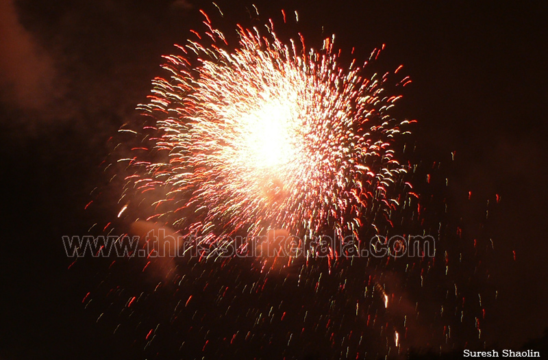 thrissur-pooram-2011- (133)